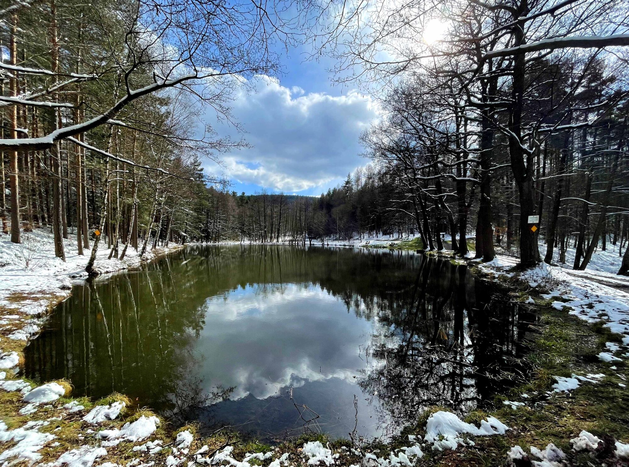 Gänseteich Geschwenda