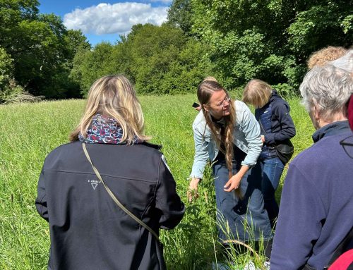 Kräuterwanderung – ein schöner Tag in der Natur